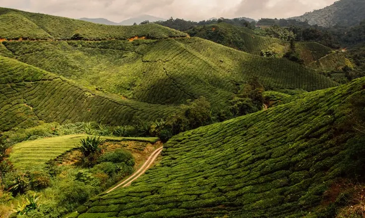 La Malesia rilascia specifiche Peppol aggiornate a supporto del lancio della fatturazione elettronica