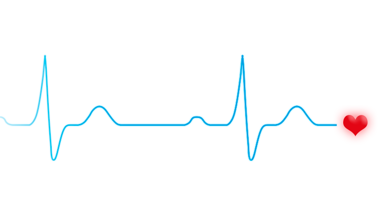 Cardiovest analysis