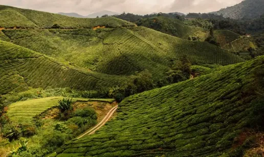 La Malesia inasprisce le regole sulla fatturazione elettronica per i settori dell'elettricità e delle telecomunicazioni