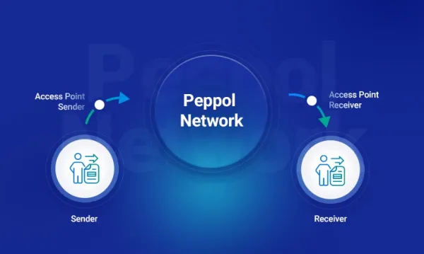  Schema del funzionamento della Peppol e-Invoicing Network con l’IMDA come autorità regolatoria.
